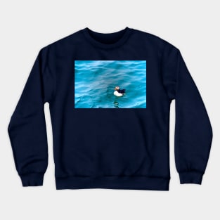 HAPPY AT SEA Crewneck Sweatshirt